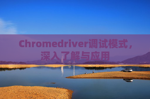 Chromedriver调试模式，深入了解与应用