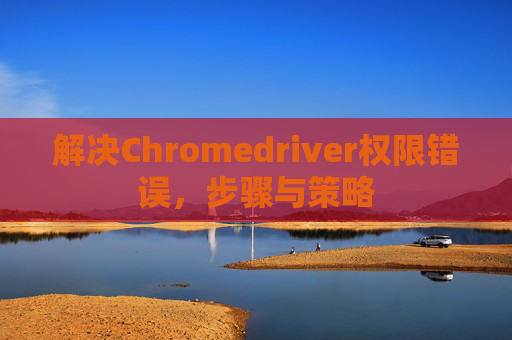 解决Chromedriver权限错误，步骤与策略