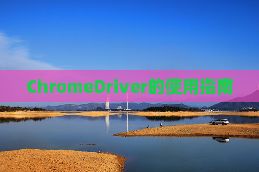 ChromeDriver的使用指南