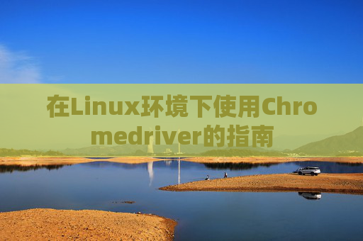 在Linux环境下使用Chromedriver的指南